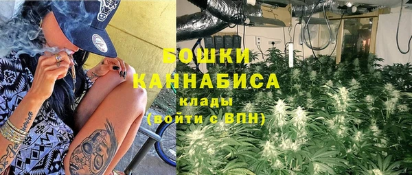 дживик Верея