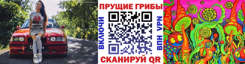 мориарти телеграм  Луховицы  Галлюциногенные грибы мухоморы  как найти закладки 
